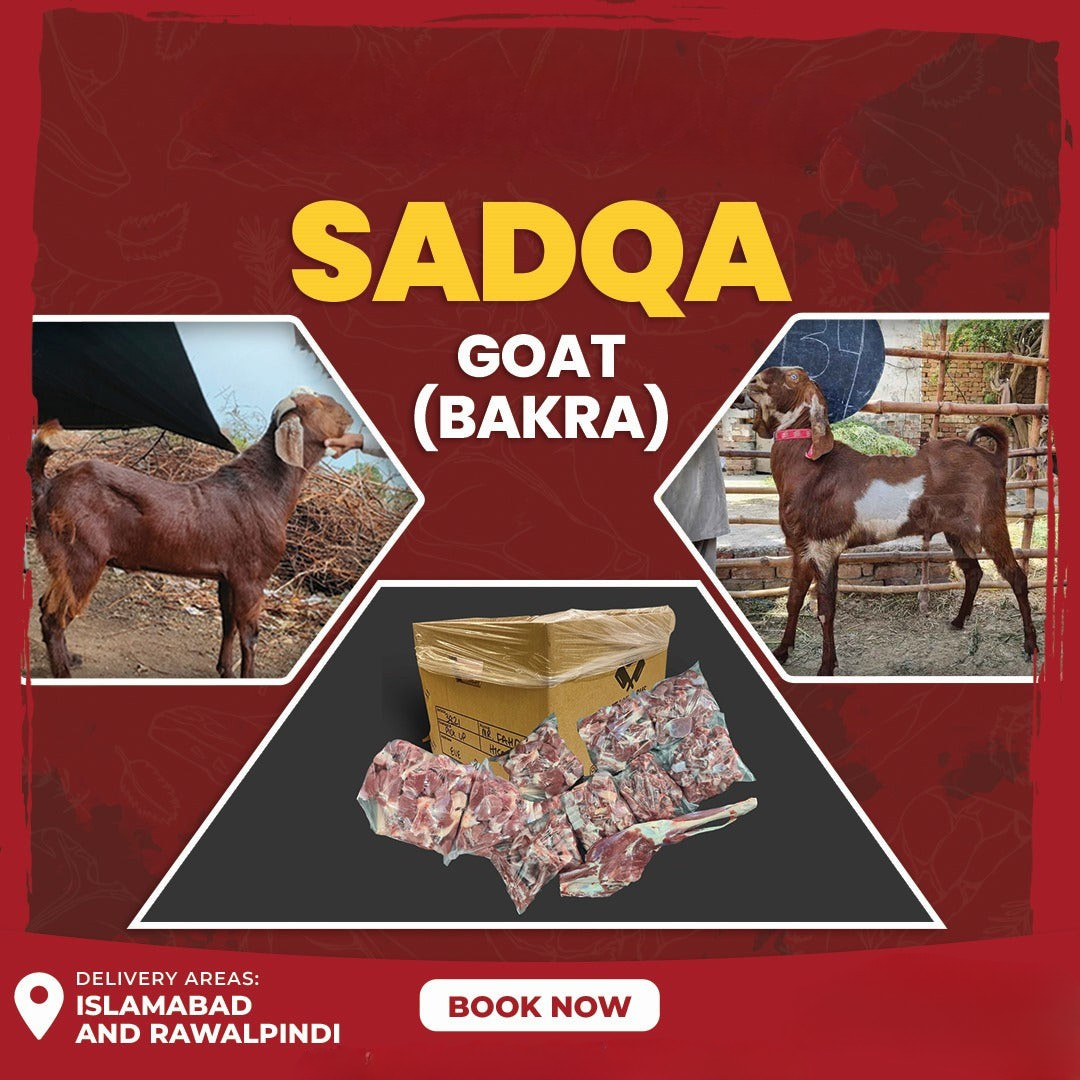 Sadqa Goat (Bakra)
