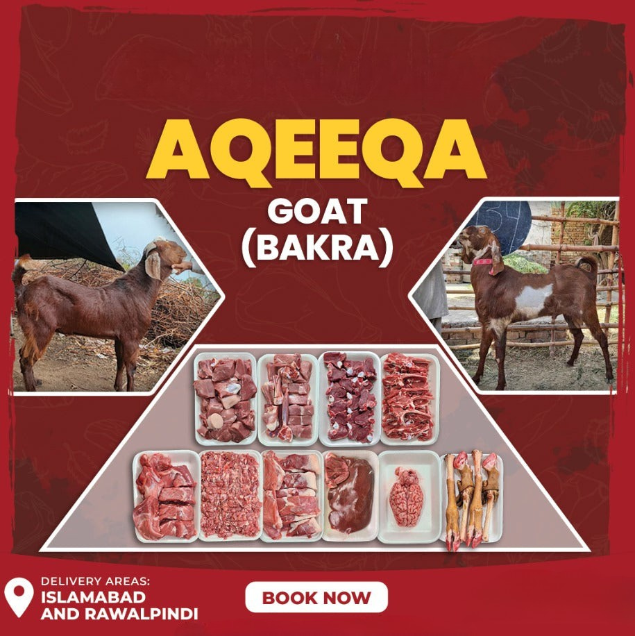 Aqeeqa Goat (Bakra)